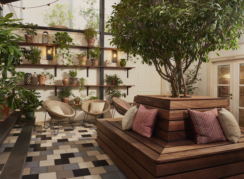 テラス / パティオ