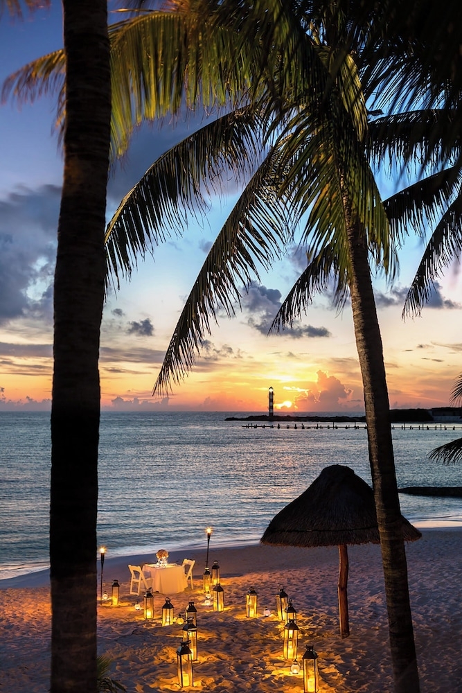 ビーチ / オーシャン ビュー