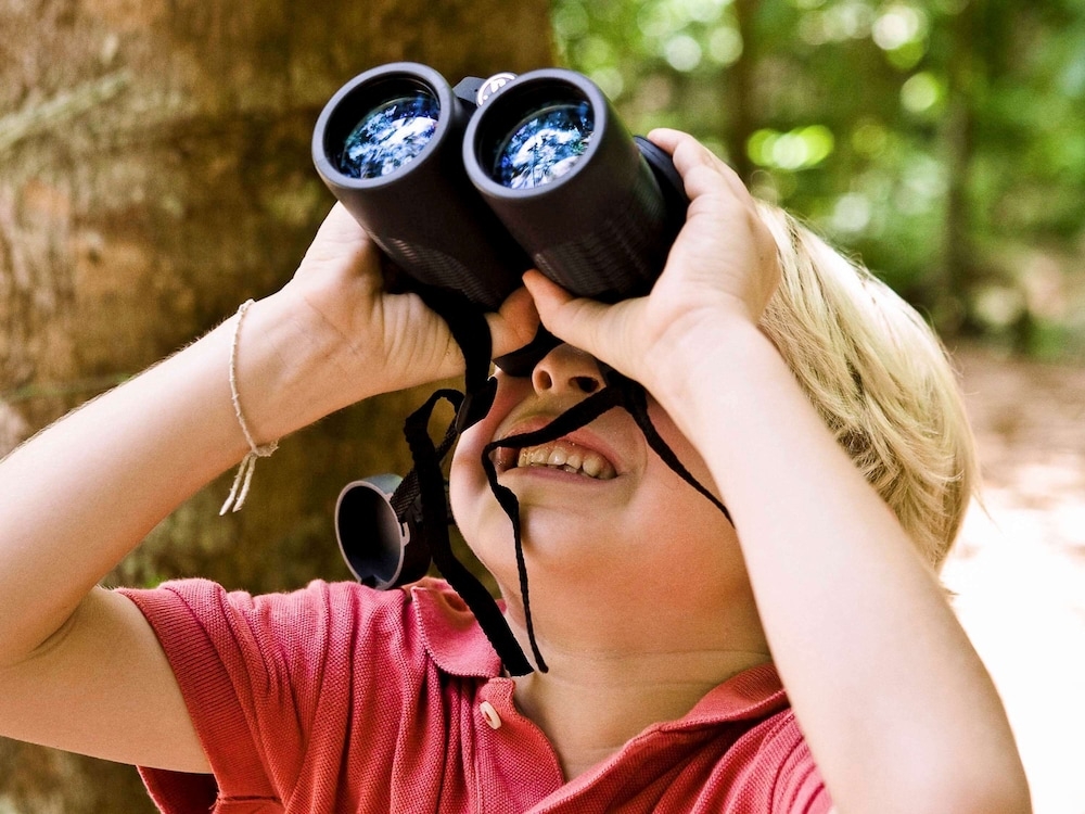 子供向けアクティビティ