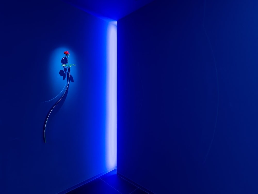 建物のデザイン