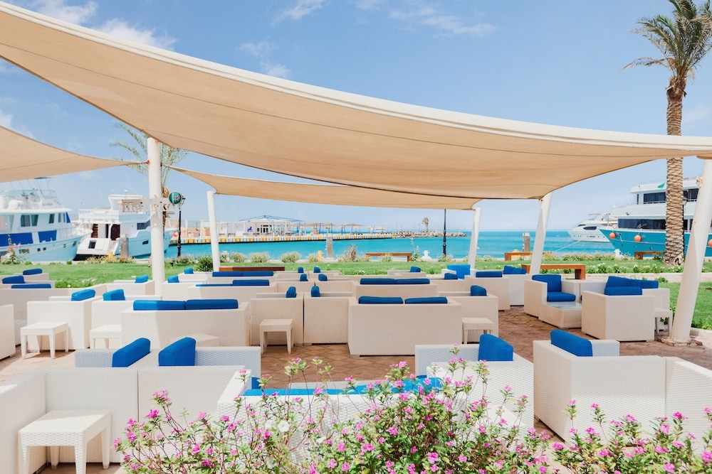 バーベキュー / ピクニック エリア