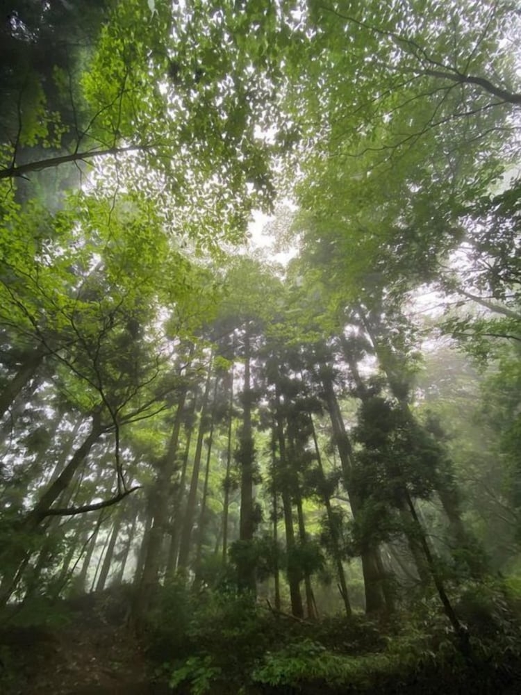 バルコニーからの眺望