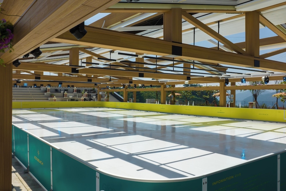 アイススケート