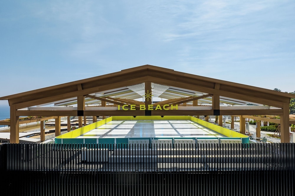 アイススケート