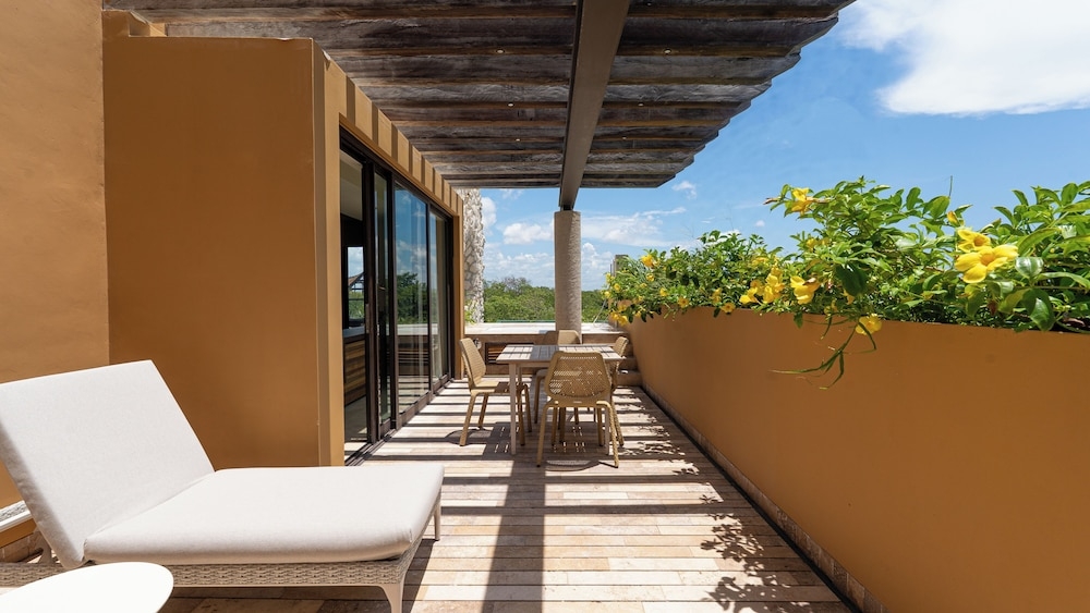 テラス / パティオ