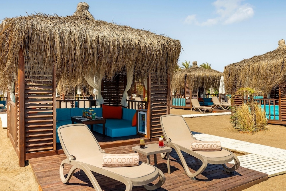 テラス / パティオ