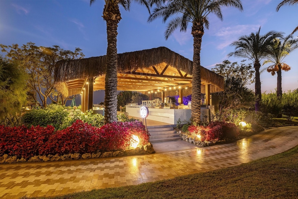 テラス / パティオ