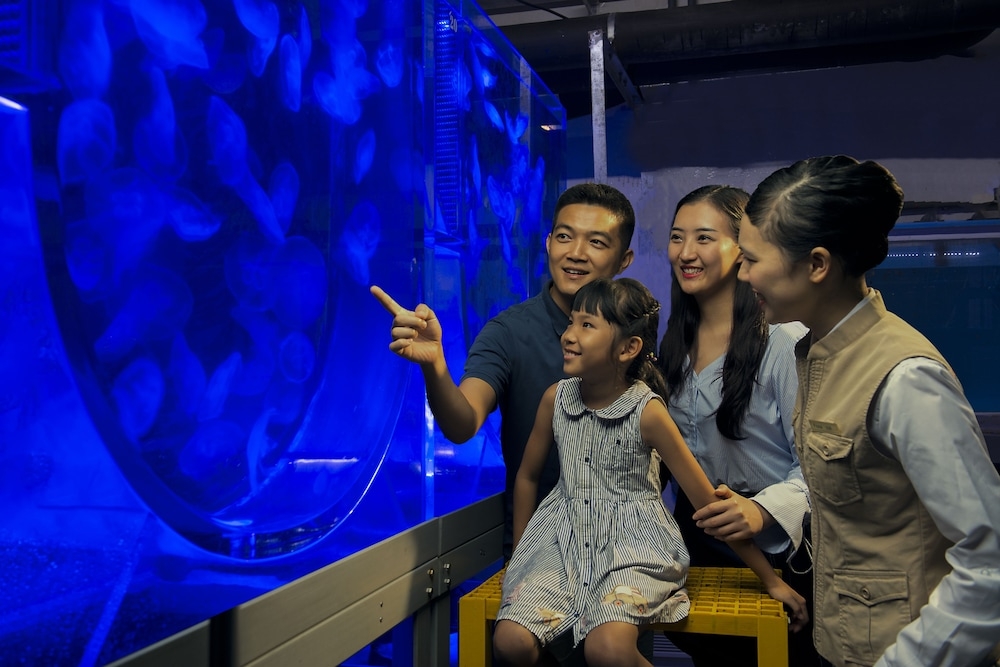 子供向けアクティビティ