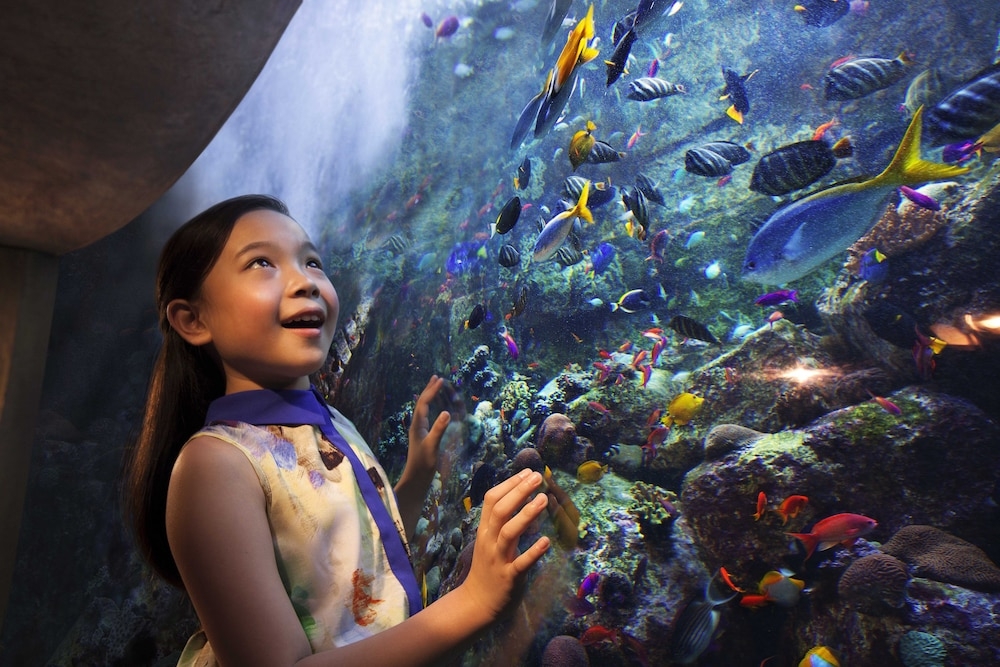 子供用の遊び場 - 屋内