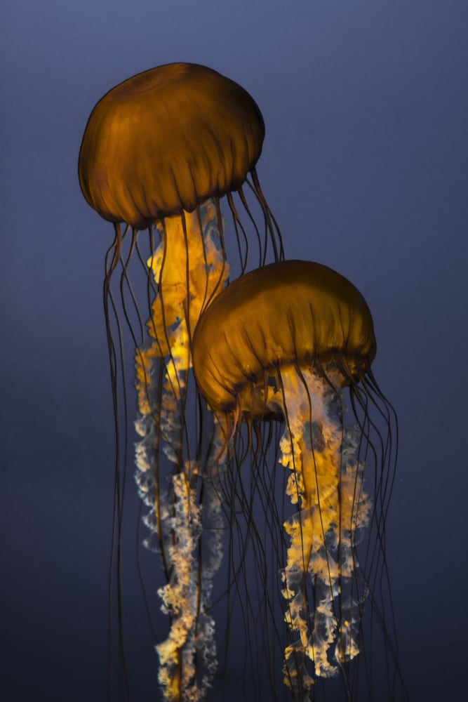 施設からの眺望