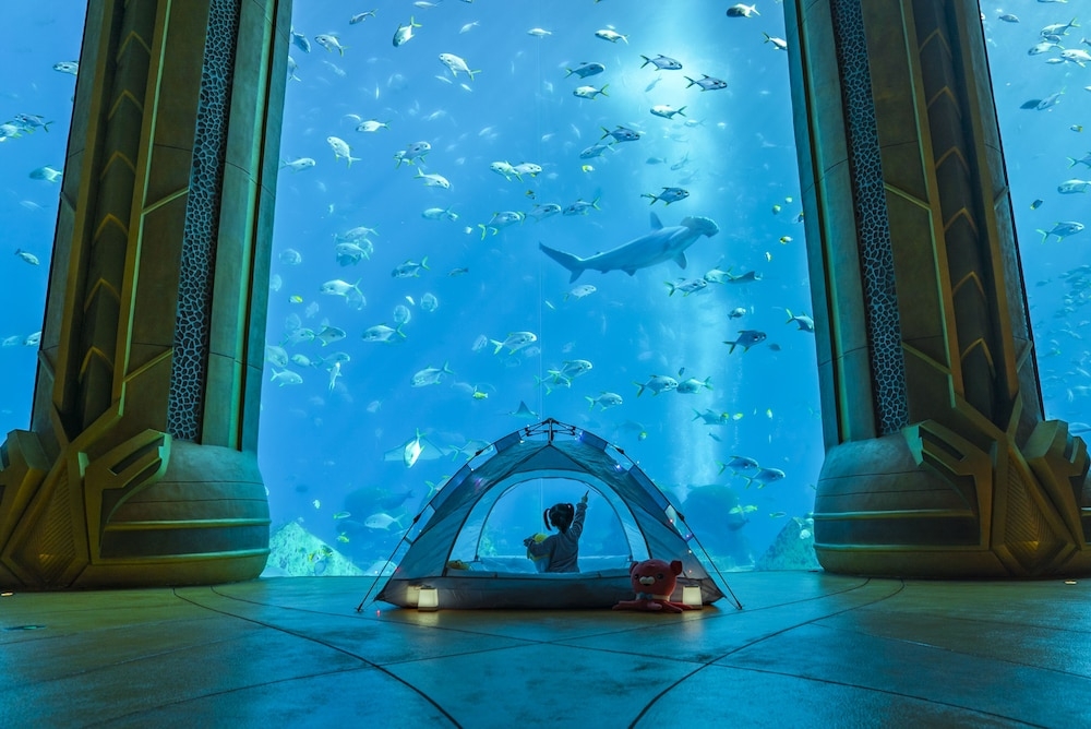 子供向けアクティビティ