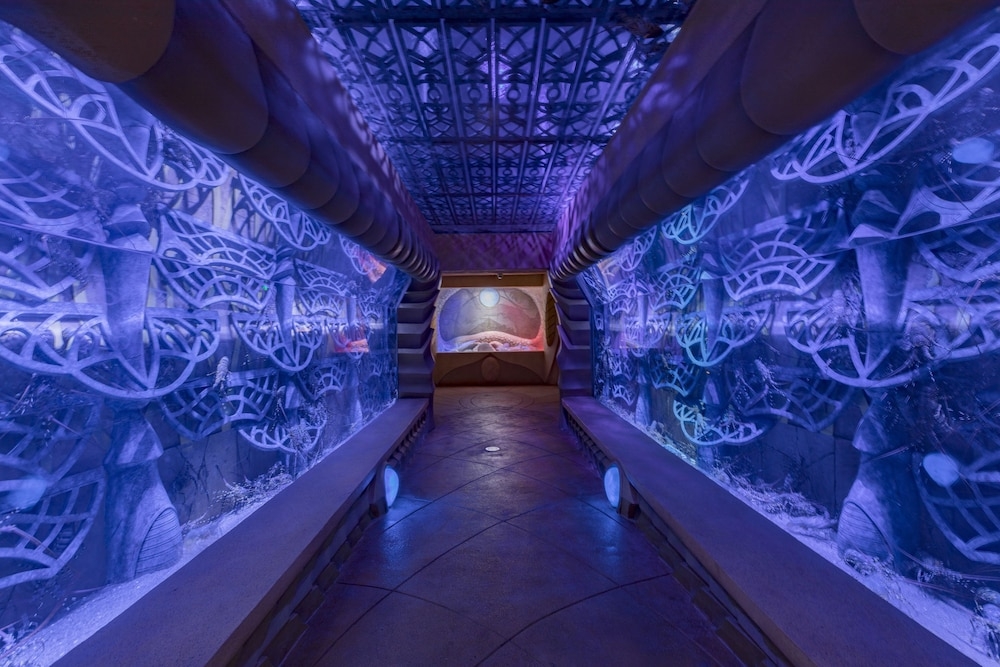 施設からの眺望