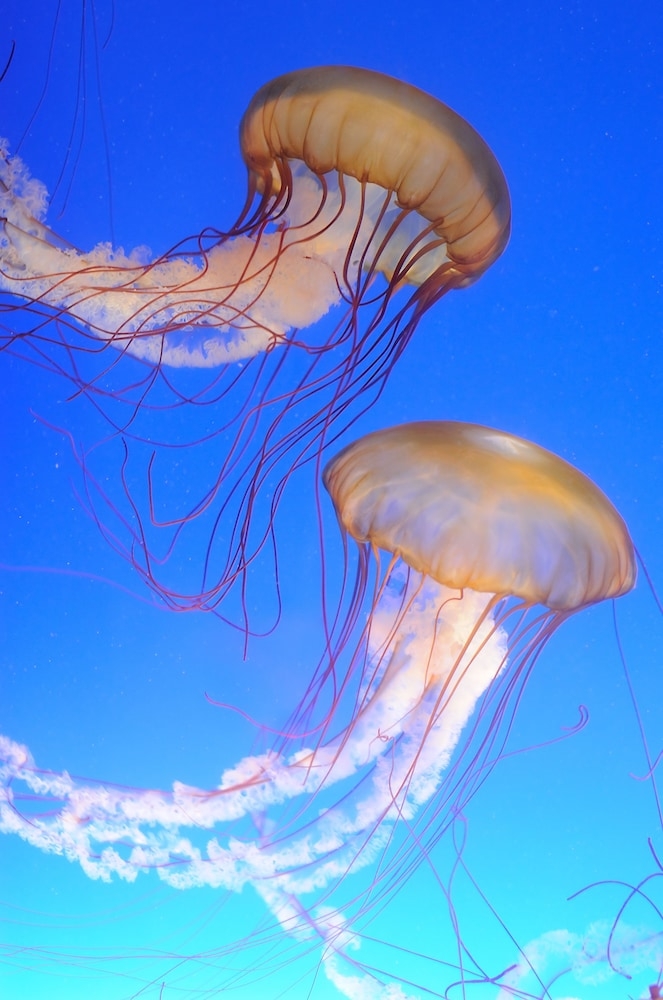 施設からの眺望