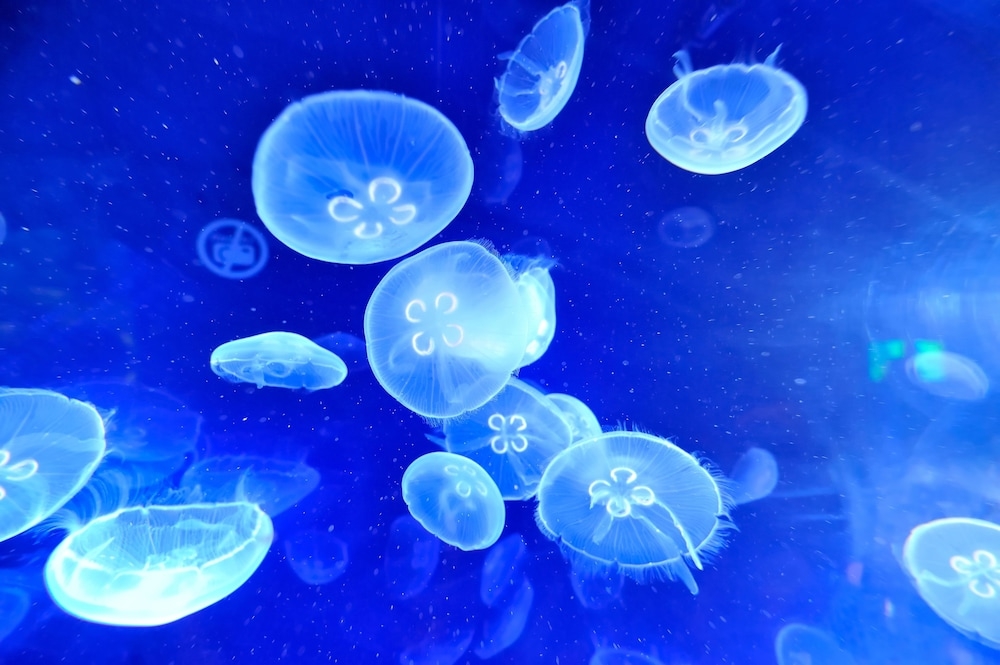 施設からの眺望