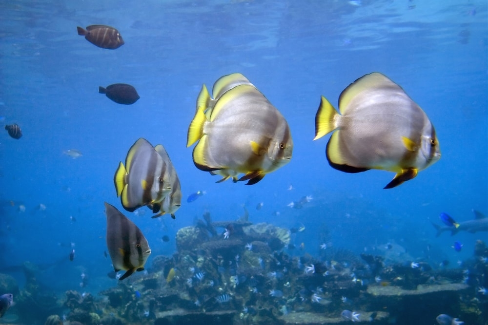 施設からの眺望