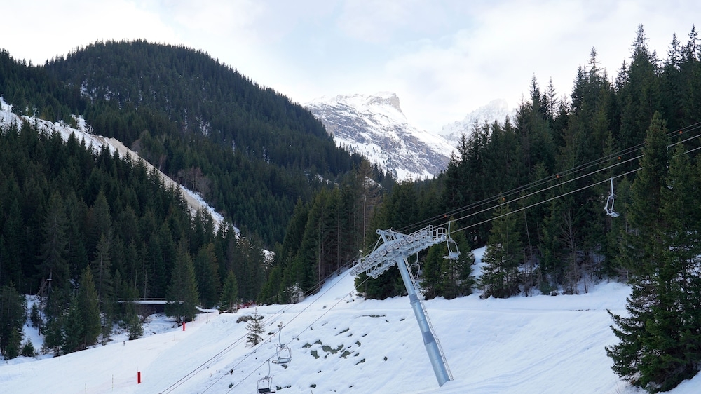 マウンテン ビュー