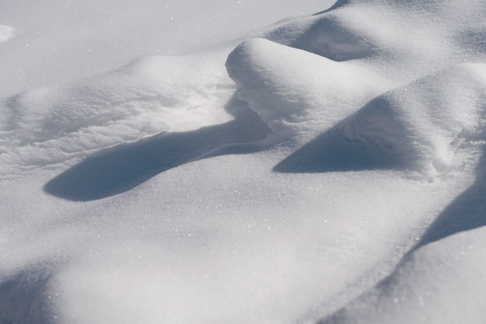 施設からの眺望