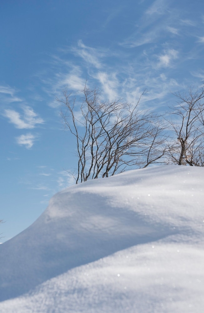 施設からの眺望