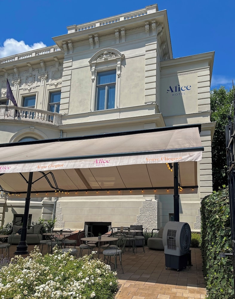 テラス / パティオ