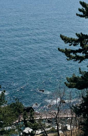 束草（ソクチョ）