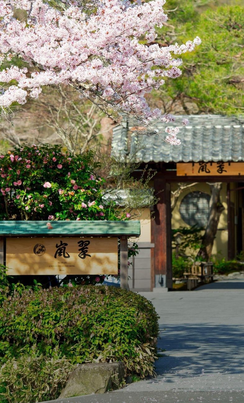 窓の向こうに
春が咲く、
日本のお花見宿