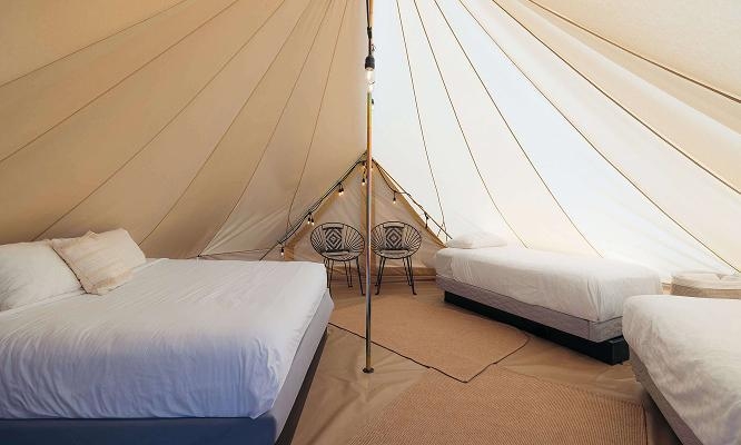 ザイオン ワイルドフラワー,アメリカ西部旅,アメリカロードトリップ