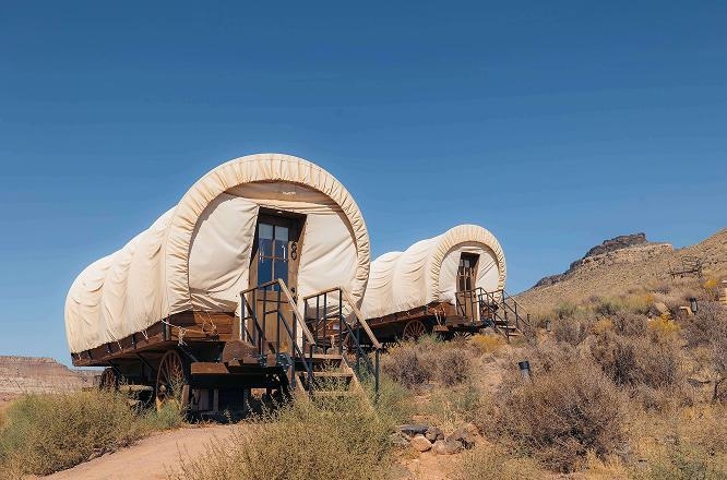 ザイオン ワイルドフラワー,アメリカ西部旅,アメリカロードトリップ