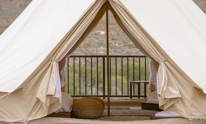 ザイオン ワイルドフラワー,アメリカ西部旅,アメリカロードトリップ