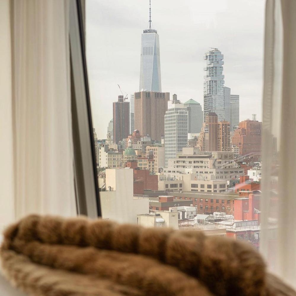 パブリック アン イアン・シュレーガー ホテル,ニューヨークホテル,イアンシュレーガーホテル