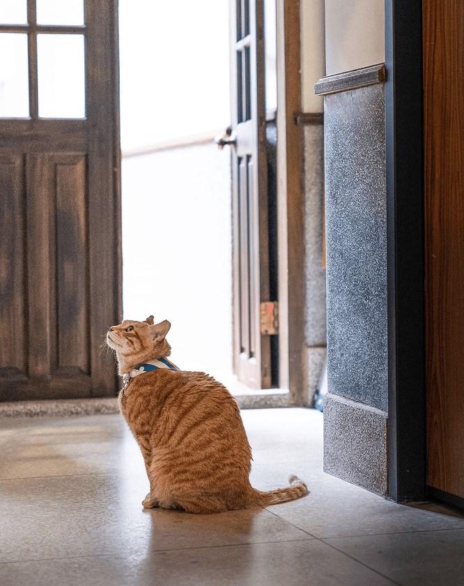 台湾ホテル,台北ホテル,オリジン スペース,Originn Space