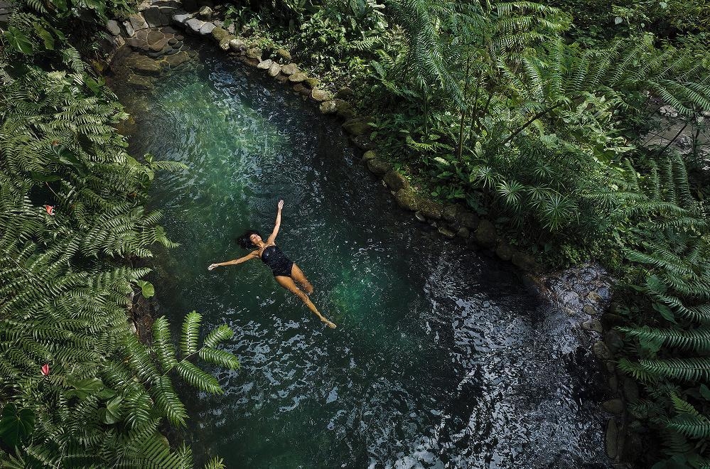 コモシャンバラエステート,ウブドホテル,Como Shambhala Estate