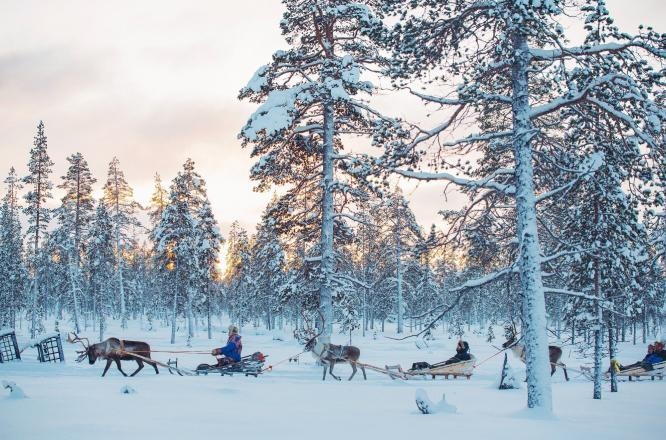 カクシラウッタネン・アークティック・リゾート